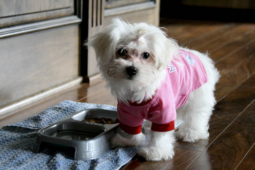 moms little diva