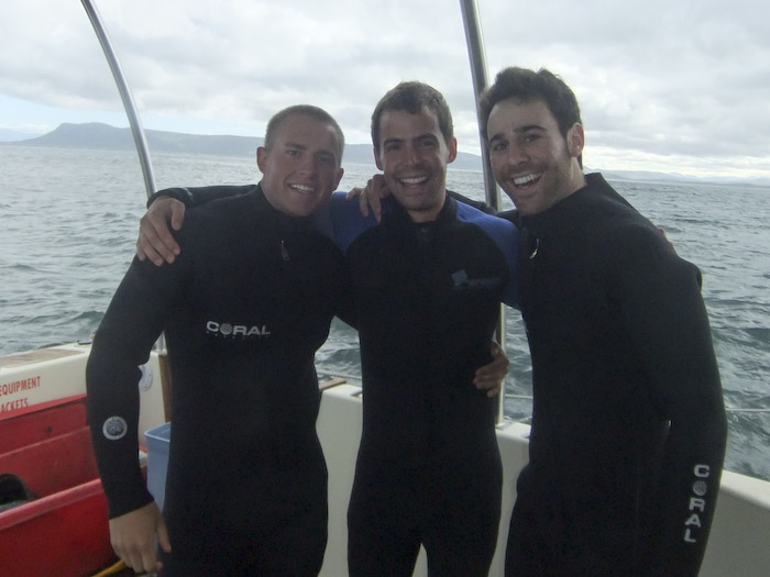 great white shark cage diving in south africa
