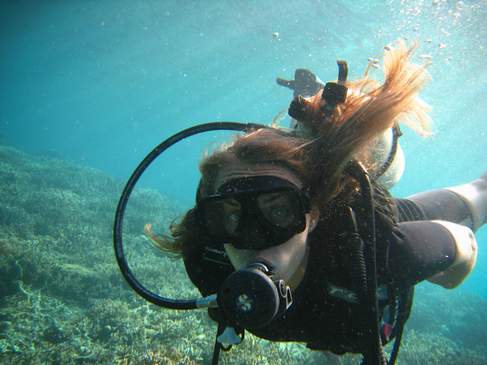 diving in borneo