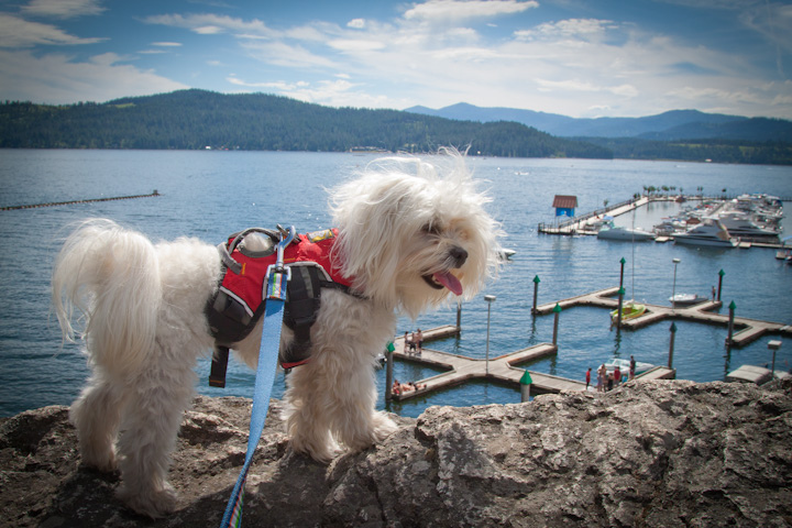 Lake Coeur d'Alene, Idaho