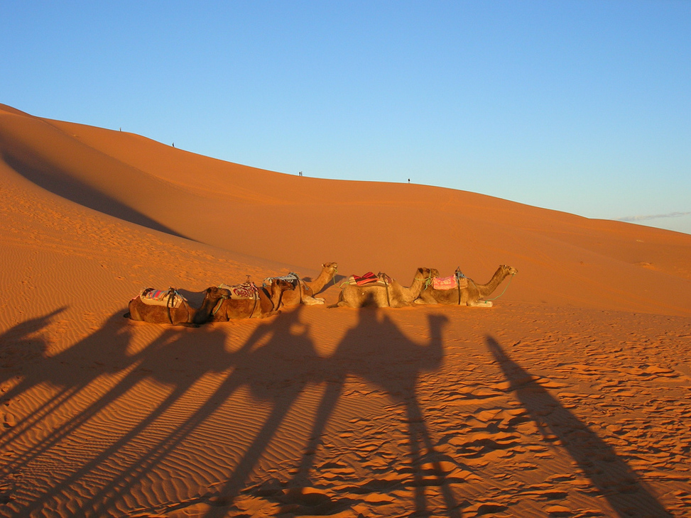 A Bucket List Adventure: Camping in the Sahara Desert of Morocco
