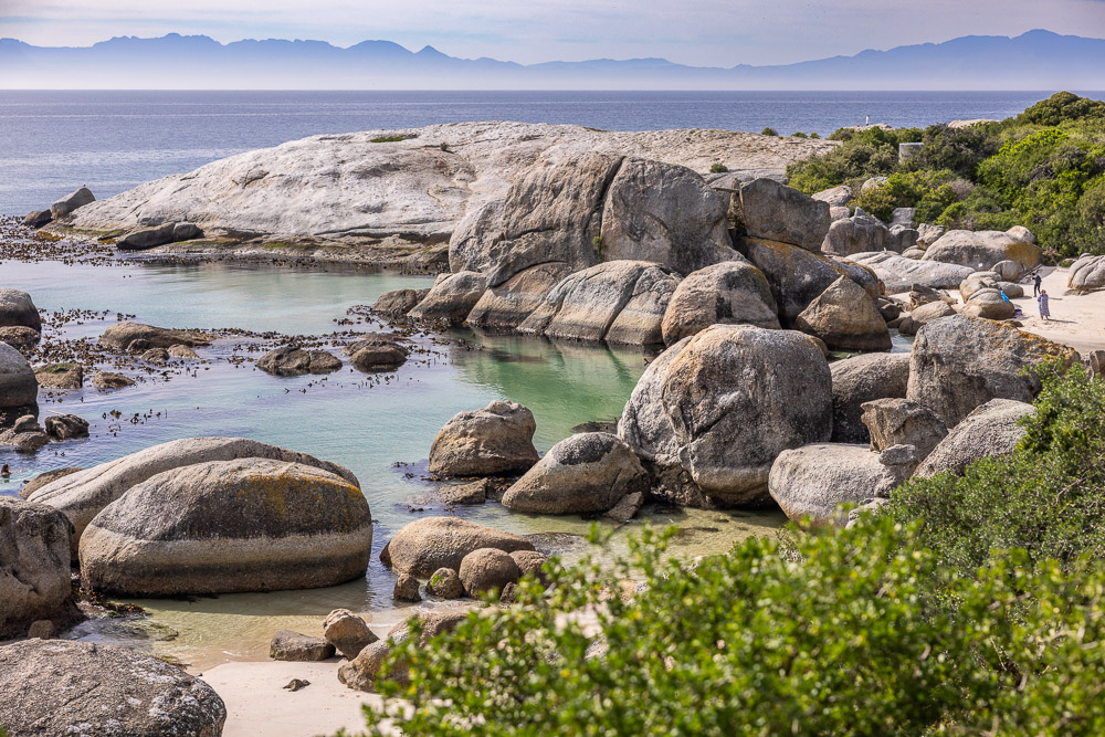 How to see the penguins in South Africa at Boulders Beach