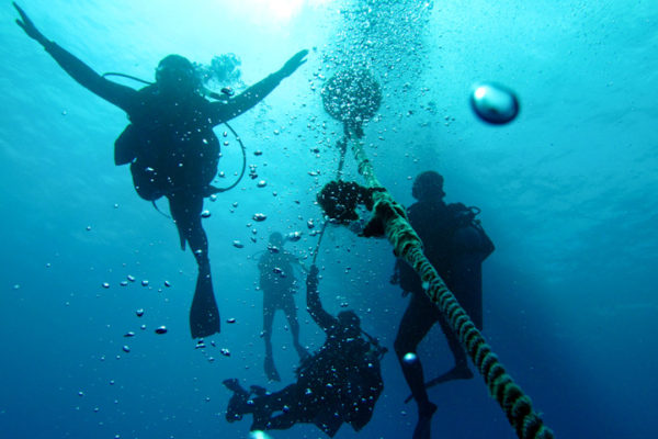 Underwater Oahu: Diving Honolulu