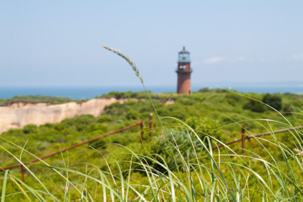 Planning a Vacation to Martha’s Vineyard