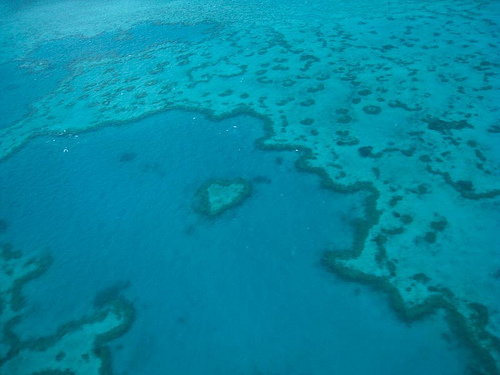 great barrier reef