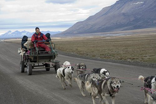 svalbard