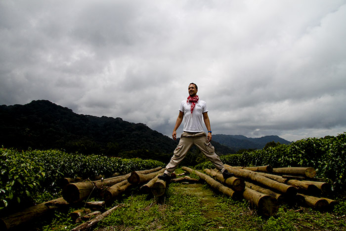 nyungwe forest lodge, rwanda, tea plantation, travel, africa, photography