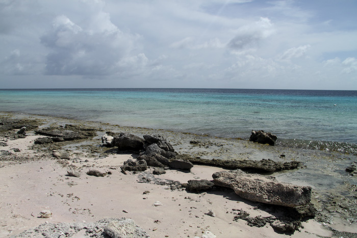 bonaire, travel, photography, caribbean, island, ocean, beach, vacation