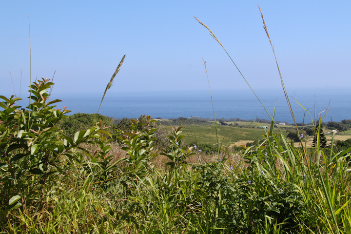 Waterfall Tour, Kohala Coast, Big Island
