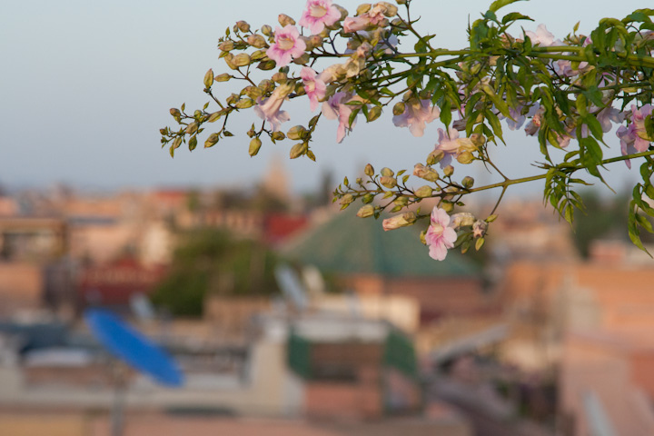 Morocco's Riad El Fenn in Marrakech
