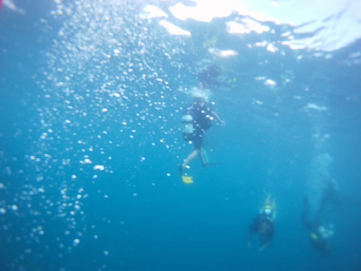 Mauritius diving holiday | Semester at Sea | Camels & Chocolate