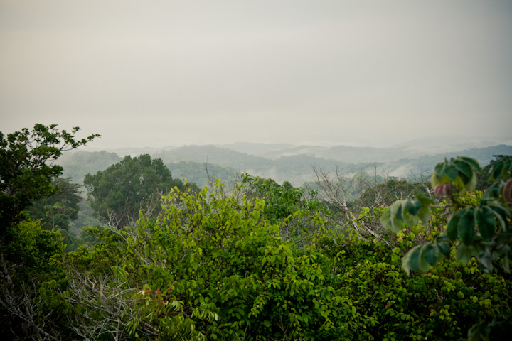 Gamboa | Panama rainforest