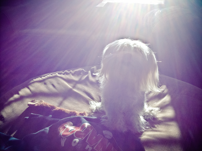 Ella in the sunlight