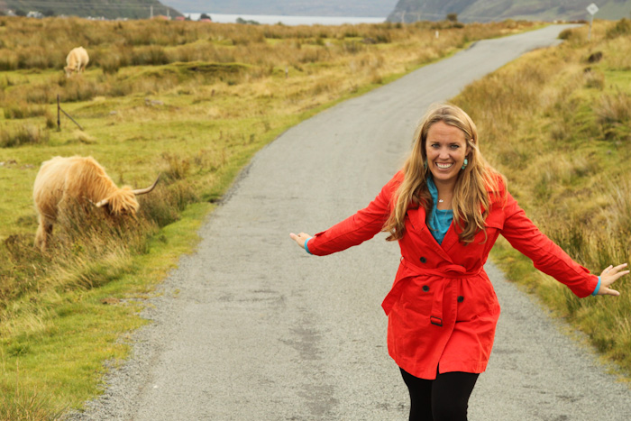 Highland Cattle, Scotland Highland Cattle, Scotland