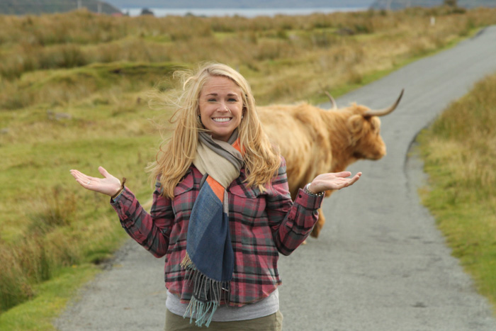Highland Cattle, Scotland Highland Cattle, Scotland