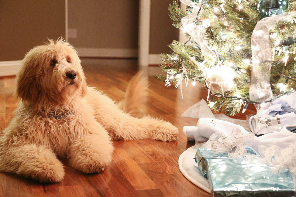 Gift Guide for Travelers