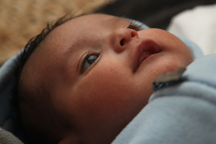 Baby Colt