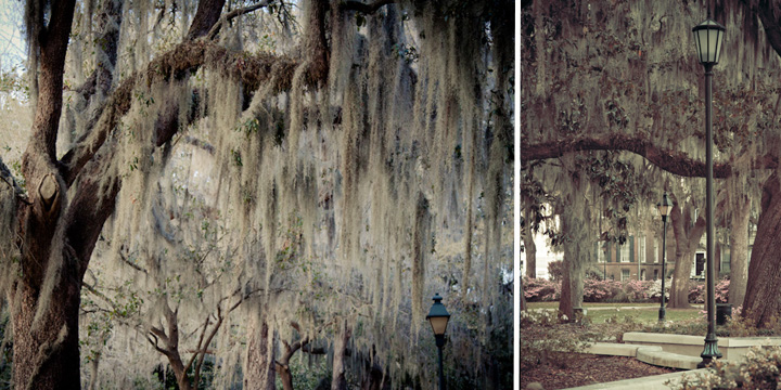 Savannah, Georgia