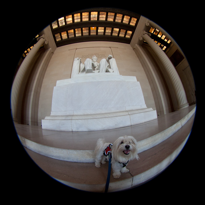 D.C.