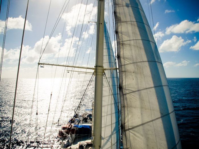 Crow's Nest of the Star Clipper