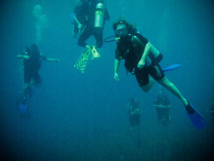 diving Antigua