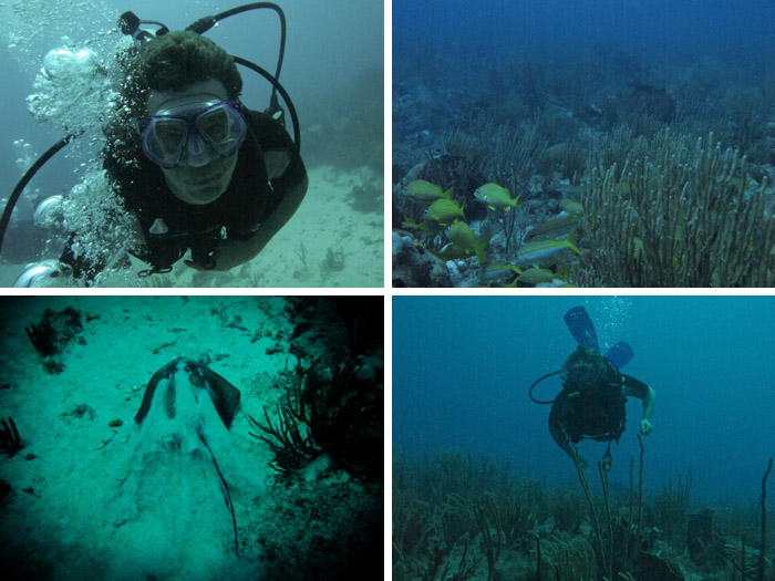 Antigua diving