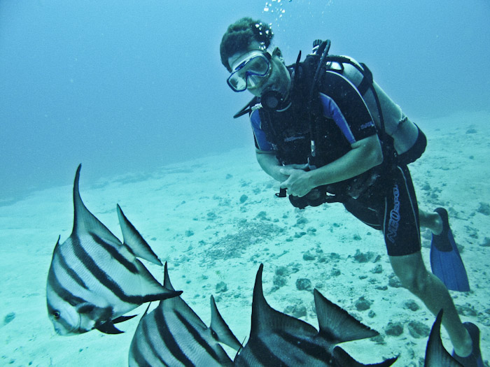 Diving Anguilla