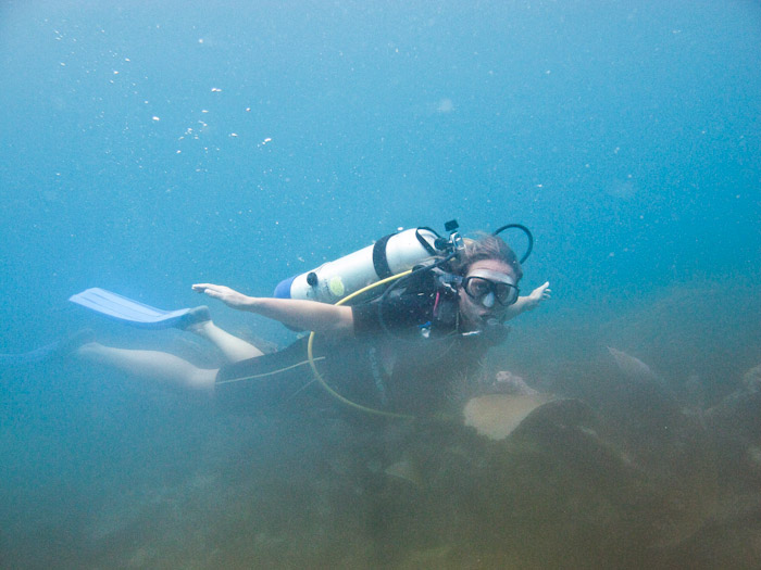 Diving Anguilla