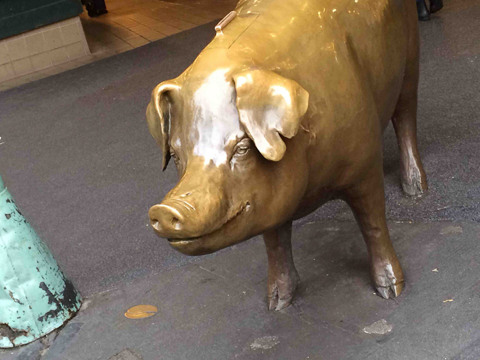 Rachel the Pig in Seattle, Washington