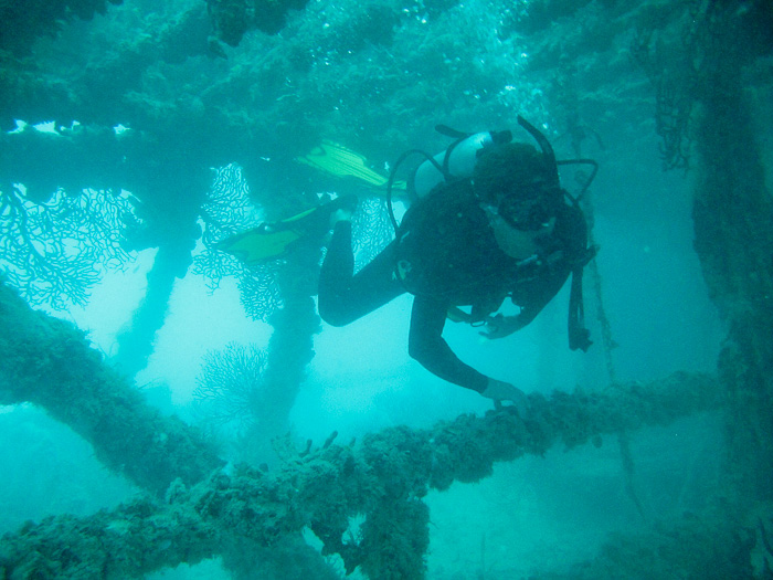 Wreck Diving in the Florida Keys
