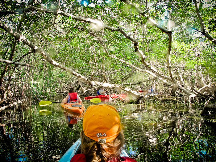 Big Pine Kayak, Florida Keys