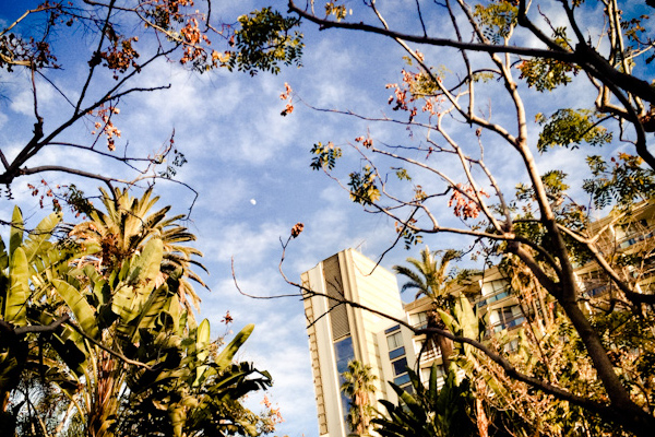 Where to Stay in LA: The Fairmont Santa Monica
