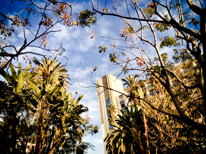 Fairmont Miramar in Santa Monica