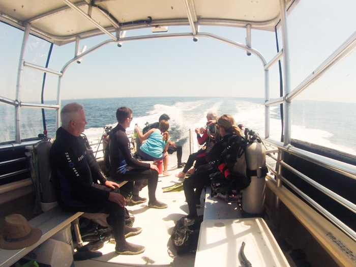 Diving with Diver's Den in Panama City Beach, Florida