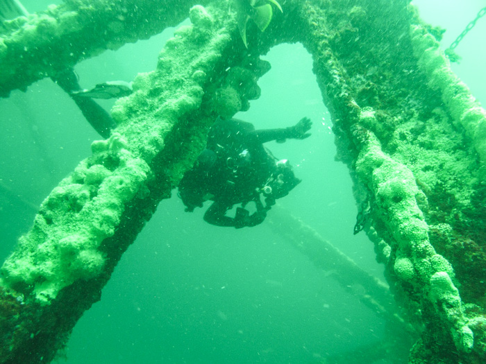 Diving with Diver's Den in Panama City Beach, Florida