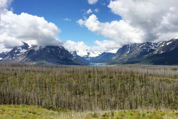 Montana Road Trip: From Isaak Newton to Many Glacier