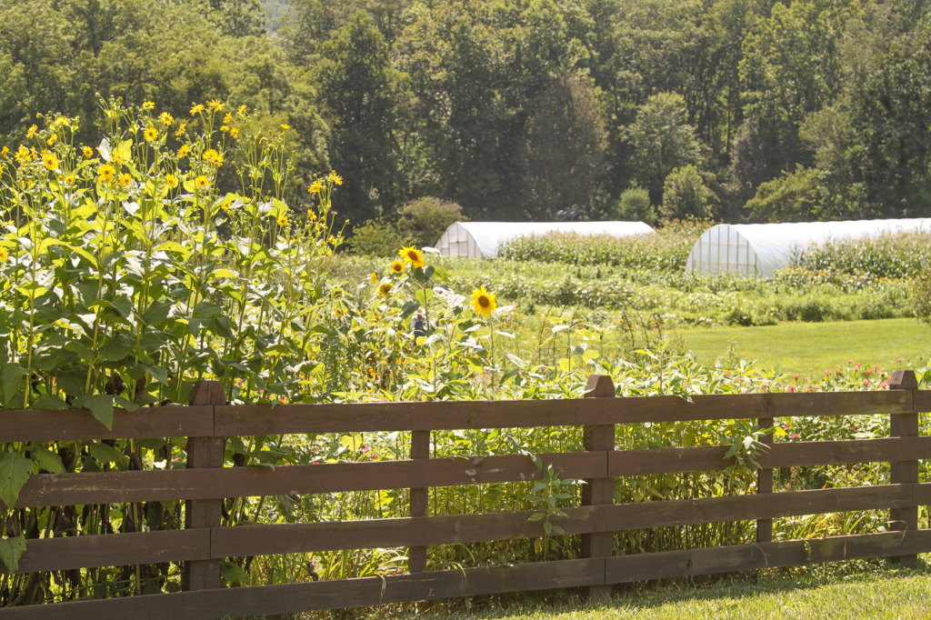 Blackberry Farm in the Tennessee Smokies