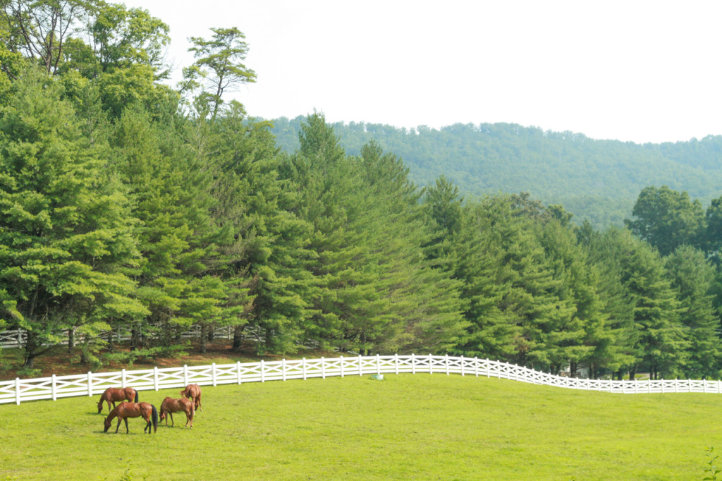 Blackberry Farm in the Tennessee Smokies