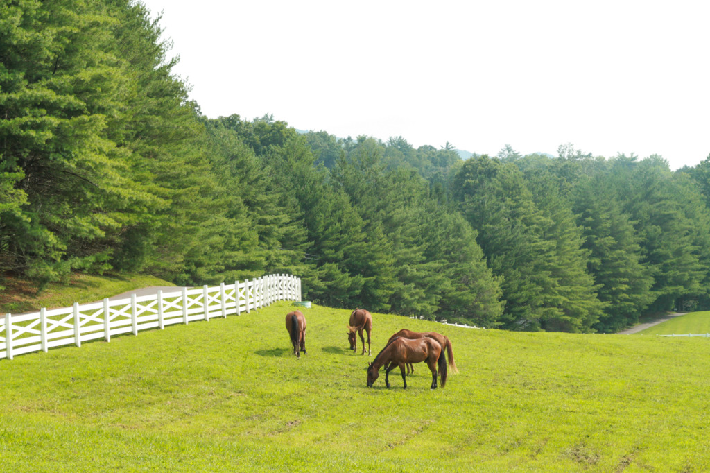 Blackberry Farm in the Tennessee Smokies