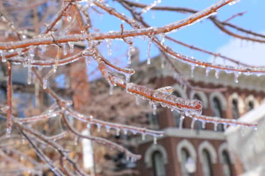Ice Storm of 2015 — Tennessee