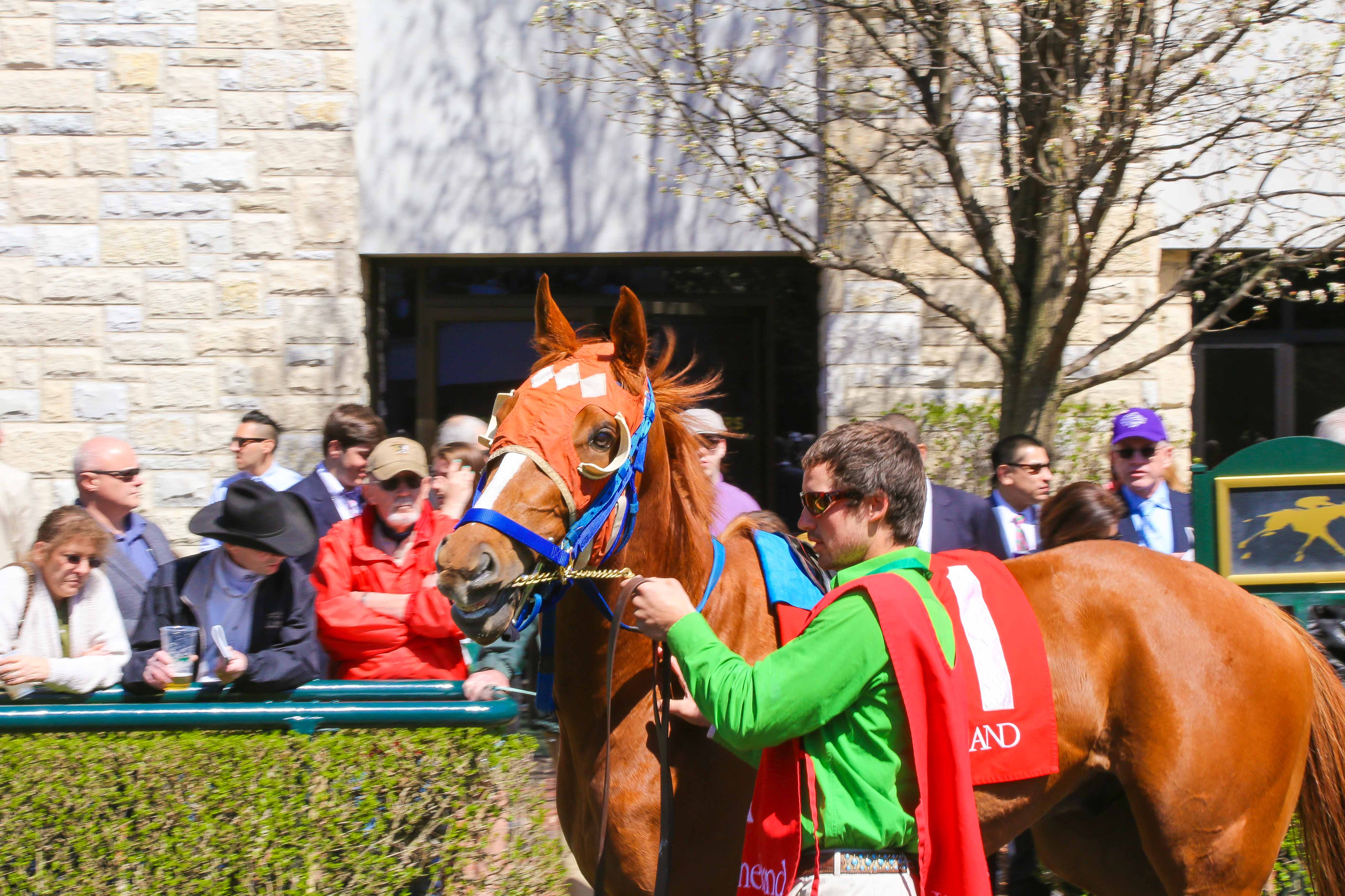 Keeneland in Kentucky: How to Plan a Day at the Races