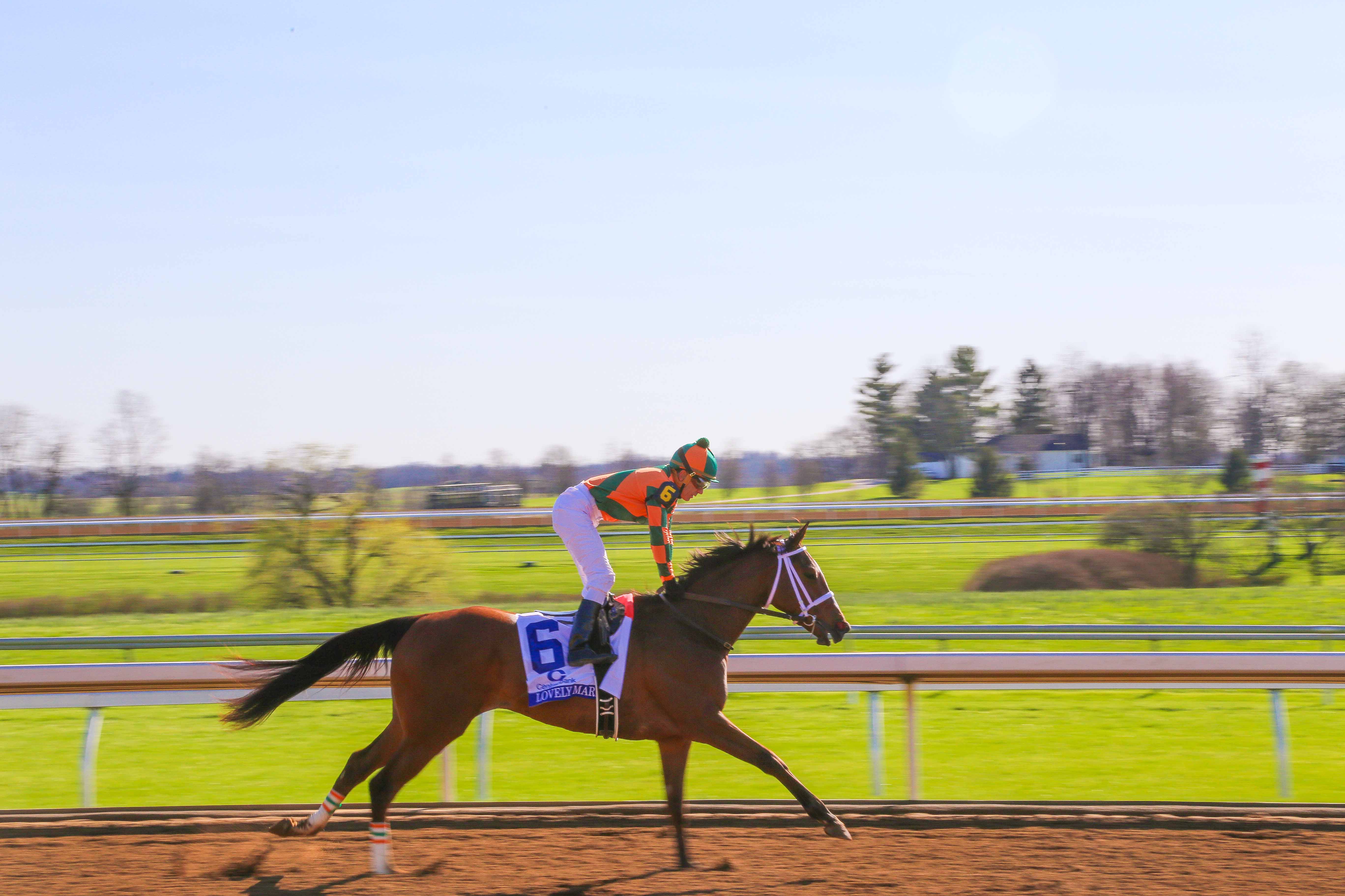 Keeneland in Kentucky: How to Plan a Day at the Races