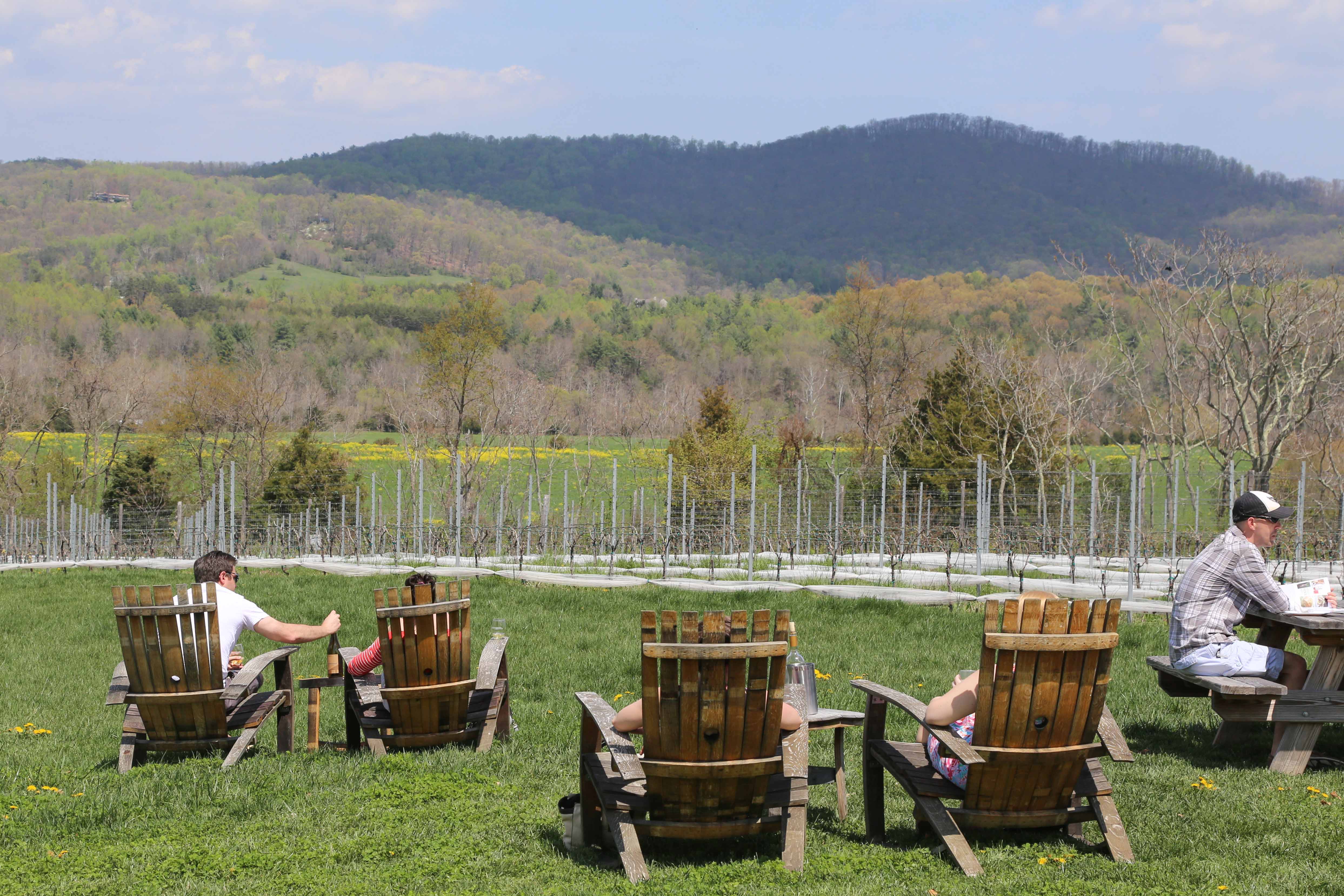 A Wine Country Tour of Virginia