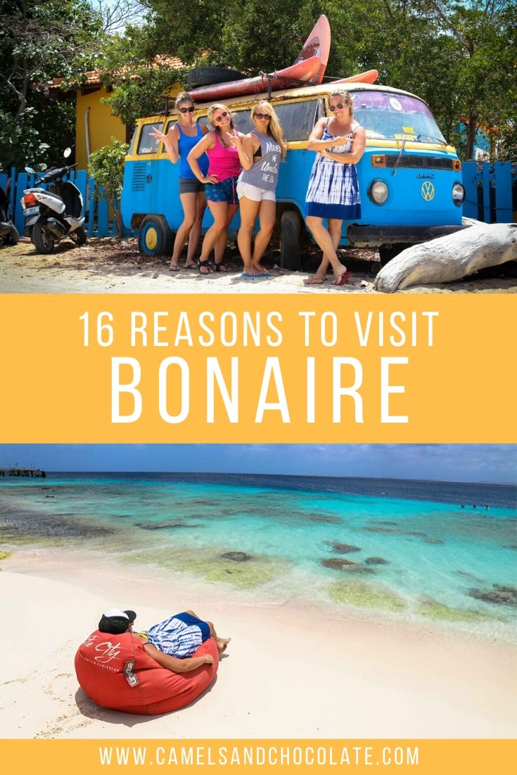 Reasons to Visit Bonaire