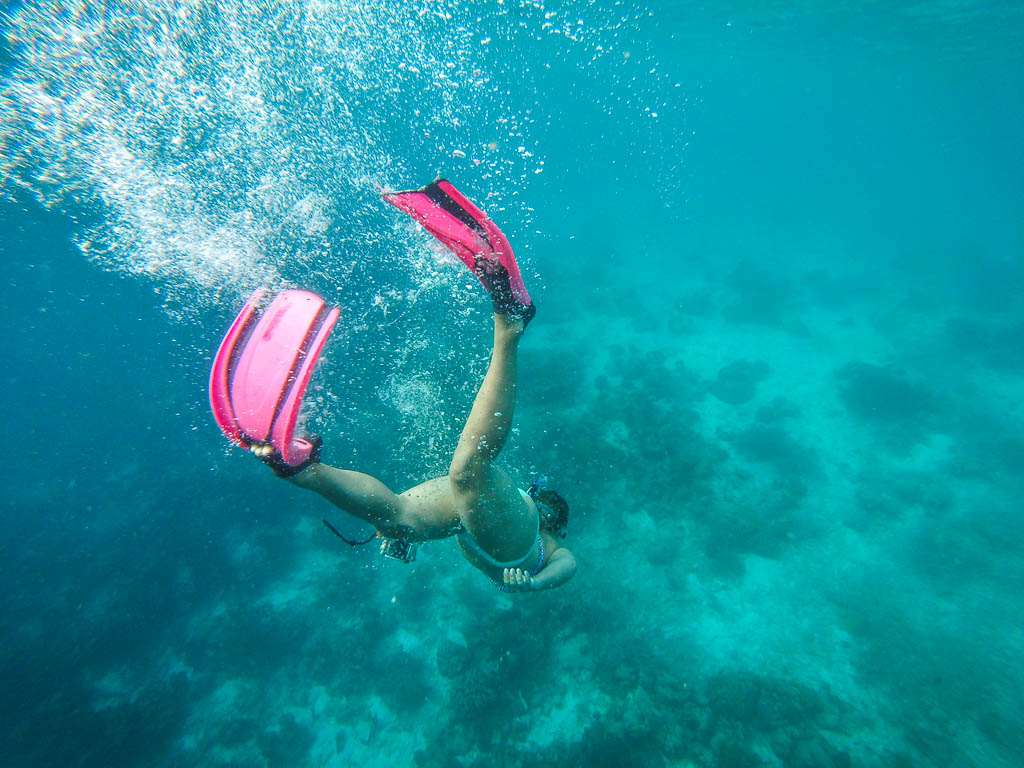 Snorkel and BBQ Cruise on Bonaire