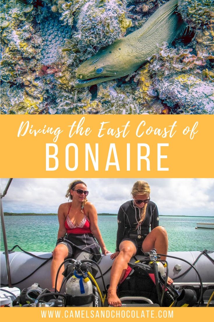 Diving the East Coast of Bonaire