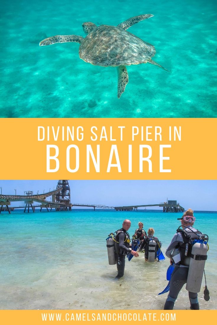 Diving Salt Pier in Bonaire