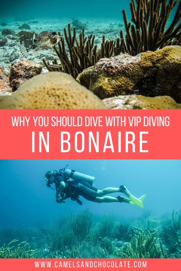 VIP Diving in Bonaire