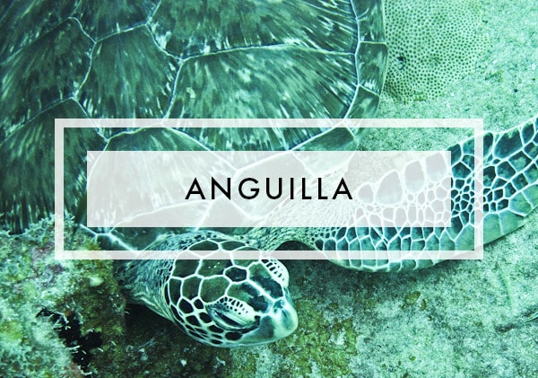 Posts on anguilla