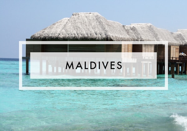 Posts on maldives